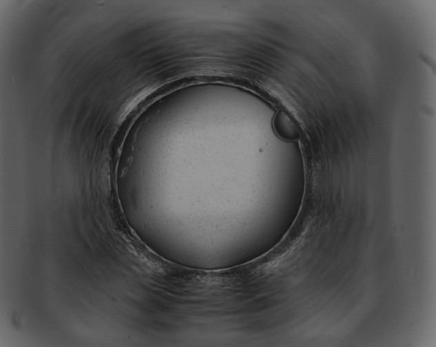 X0000092310829200710051237