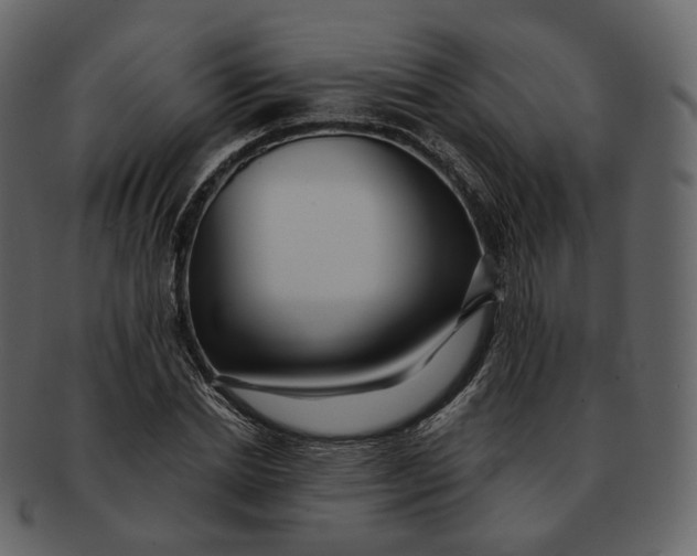 X0000092310830200710051237