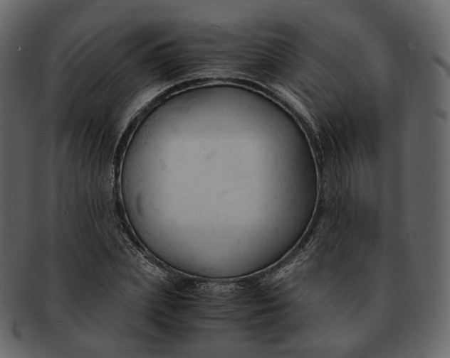 X0000092310831200710051237