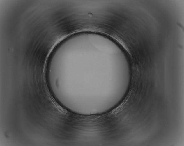 X0000092310832200710051237