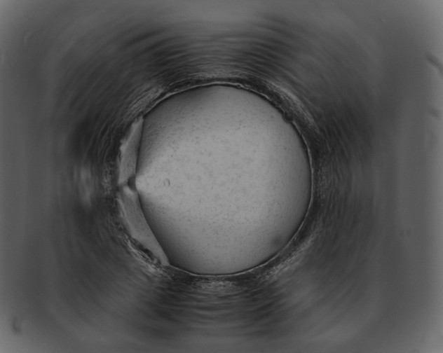X0000092310833200710051237