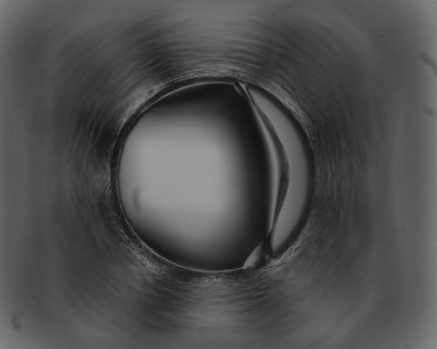 X0000092310834200710051237