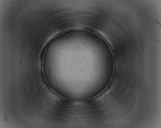 X0000092310835200710051237