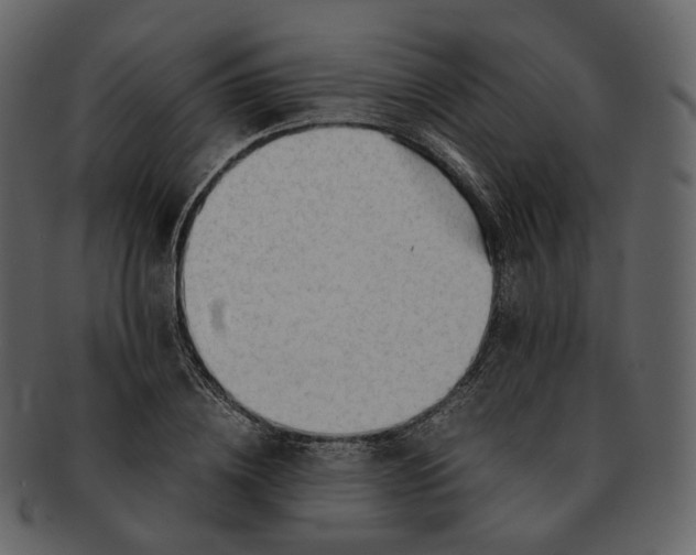 X0000092310836200710051237