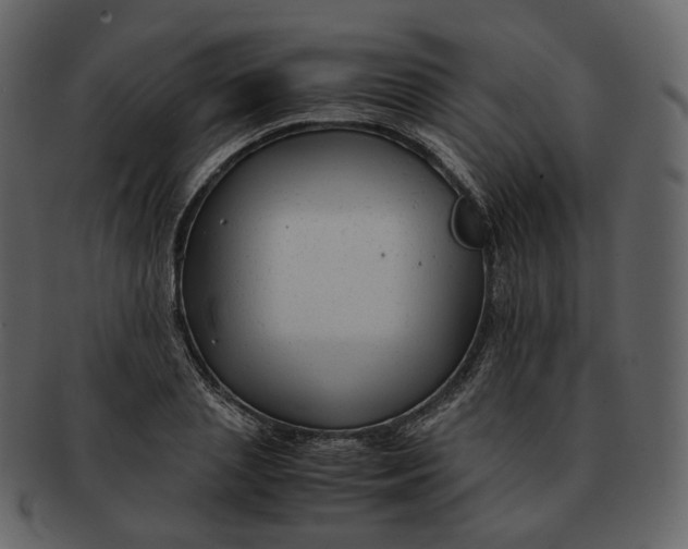 X0000092310837200710051237