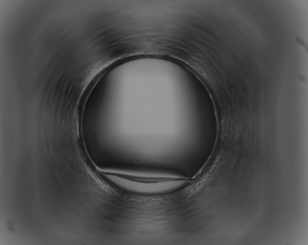X0000092310838200710051237