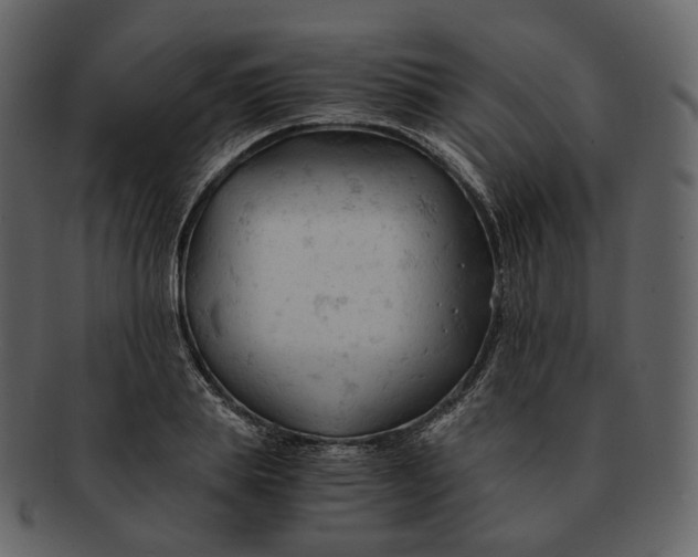 X0000092310839200710051237
