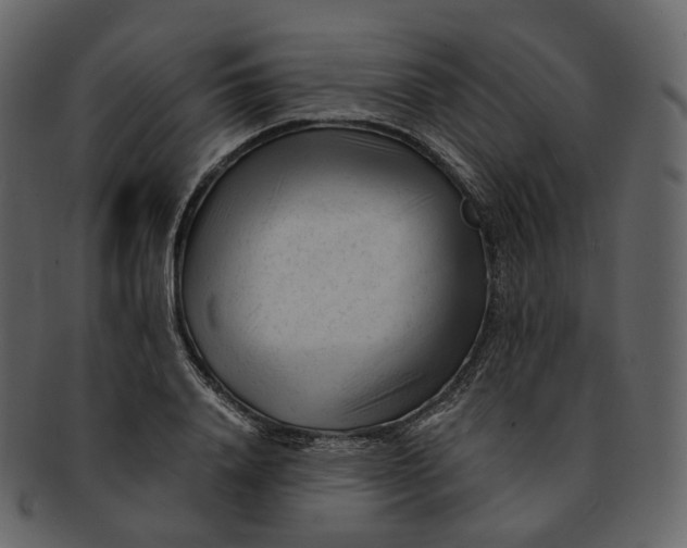 X0000092310840200710051237