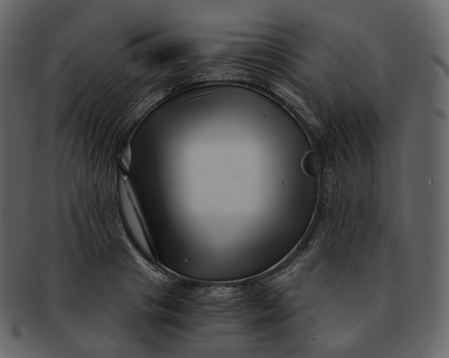 X0000092310841200710051237