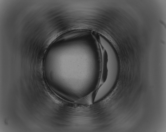 X0000092310842200710051237