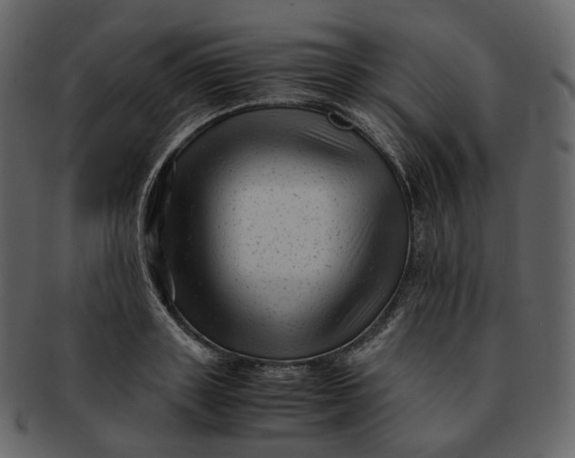 X0000092310843200710051237