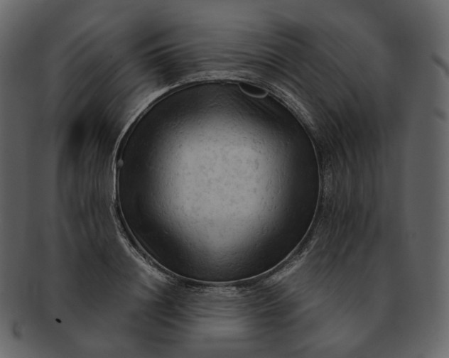 X0000092310844200710051237