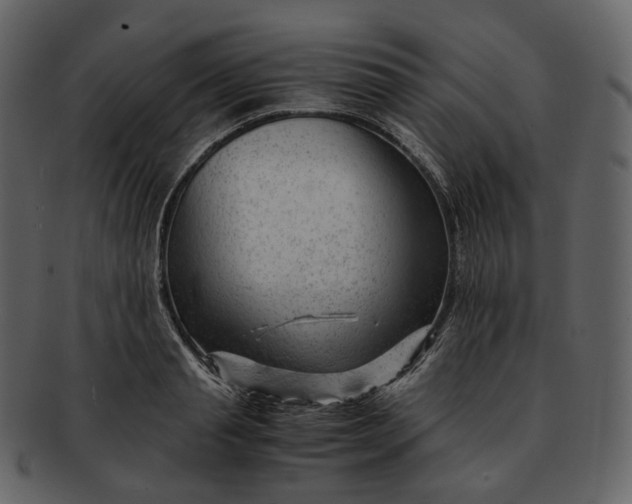 X0000092310845200710051237