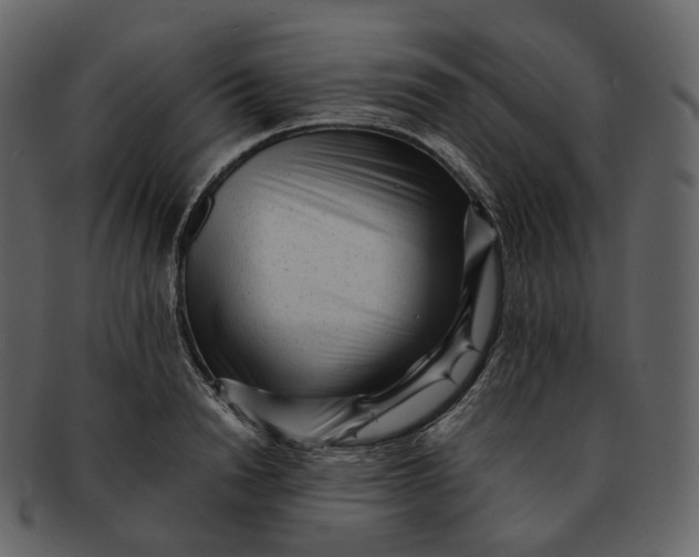 X0000092310846200710051237