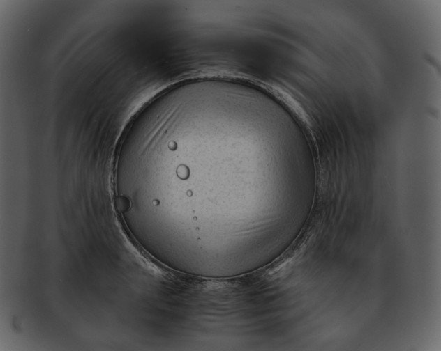 X0000092310847200710051237