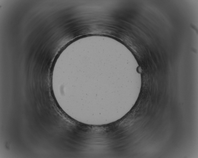 X0000092310848200710051237