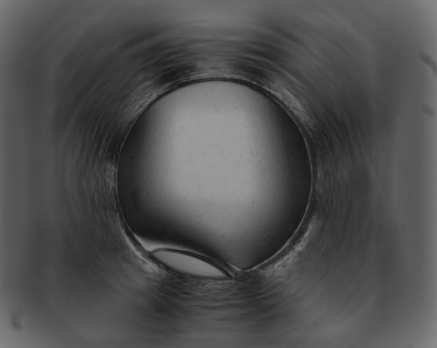 X0000092310849200710051237