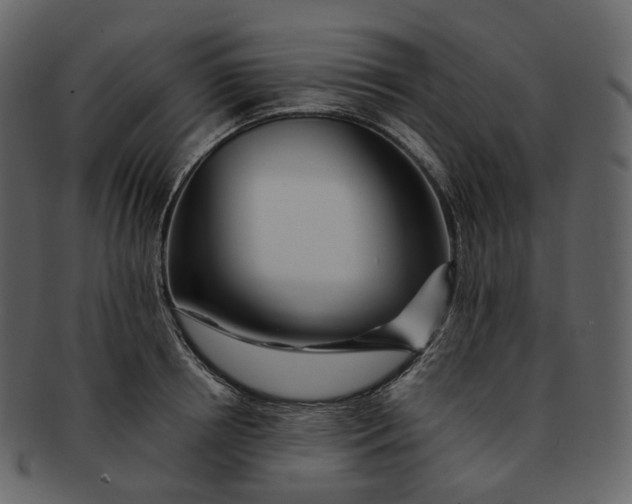 X0000092310850200710051237