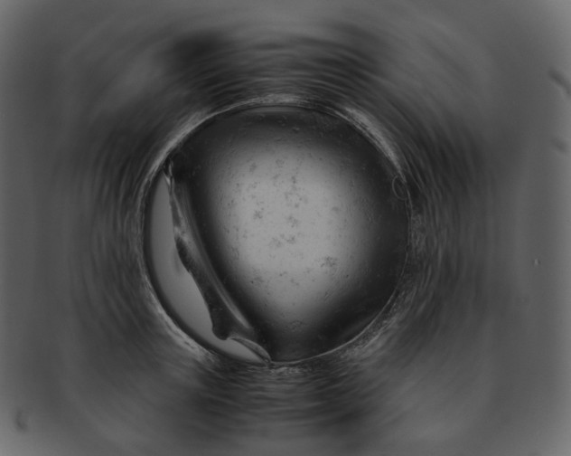 X0000092310851200710051237