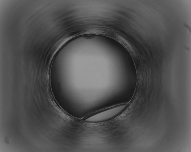 X0000092310852200710051237