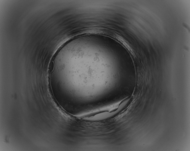 X0000092310853200710051237