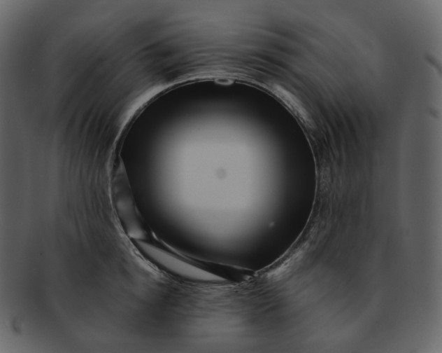 X0000092310854200710051237