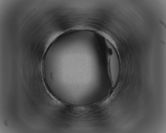 X0000092310855200710051237