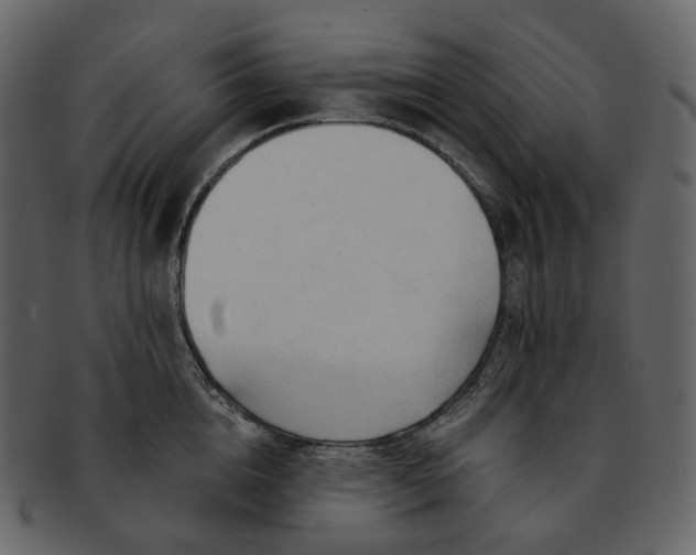 X0000092310856200710051237