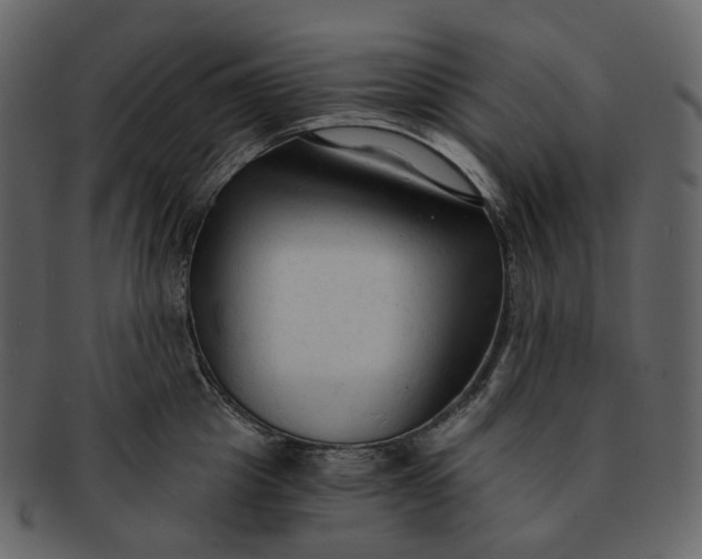 X0000092310857200710051237