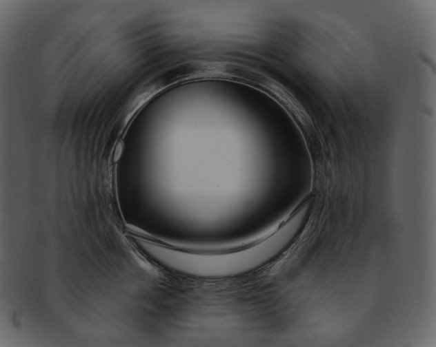 X0000092310858200710051237