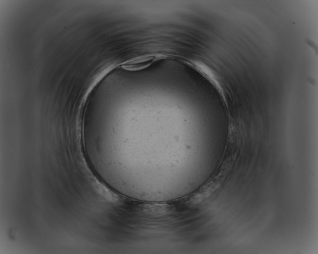 X0000092310859200710051237
