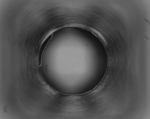X0000092310860200710051237