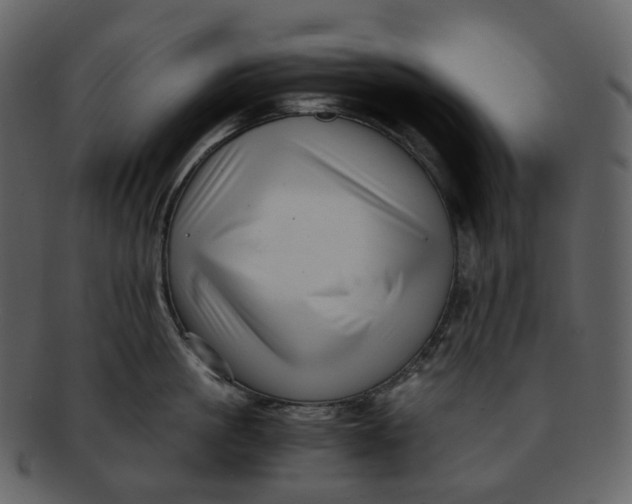 X0000092310861200710051237