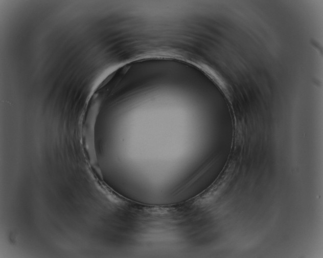X0000092310862200710051237