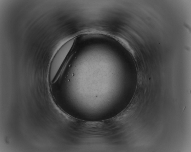 X0000092310863200710051237