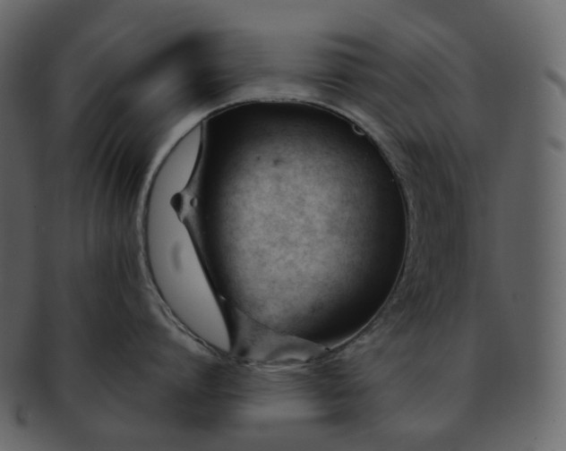 X0000092310864200710051237