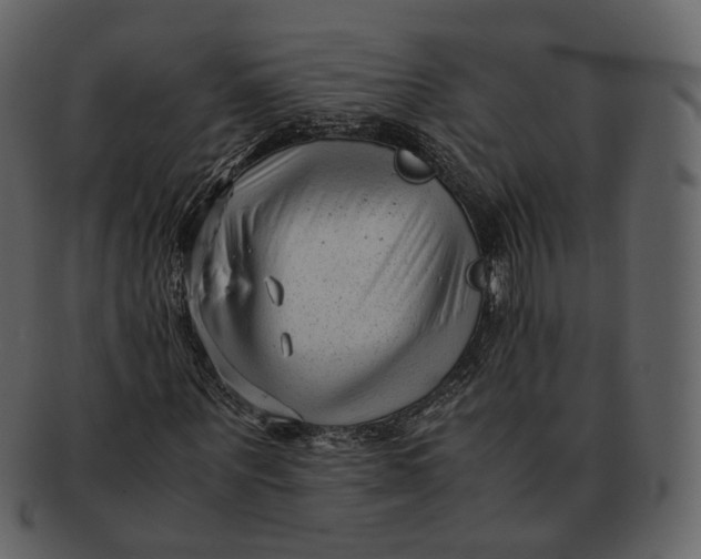 X0000092310867200710051236
