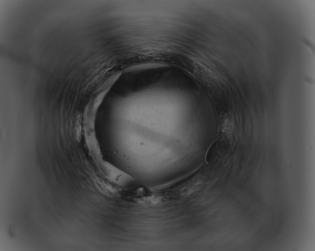X0000092310868200710051236
