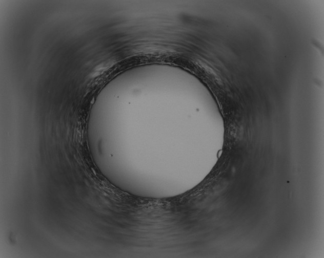 X0000092310869200710051236