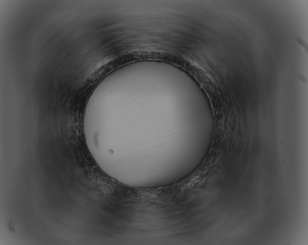 X0000092310870200710051236