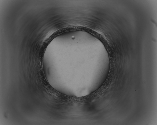 X0000092310871200710051236