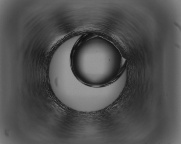 X0000092310872200710051236