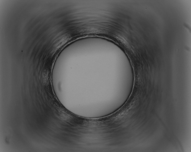 X0000092310873200710051236