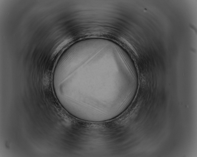 X0000092310874200710051236