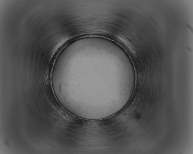 X0000092310875200710051236