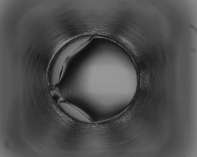 X0000092310876200710051236