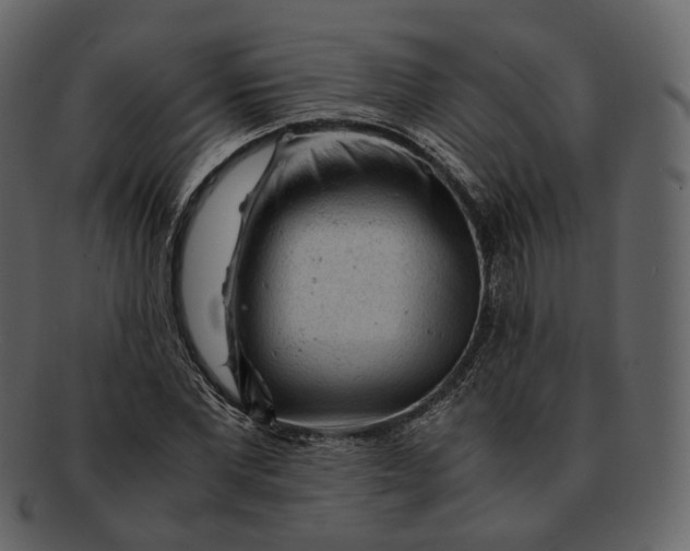 X0000092310877200710051236