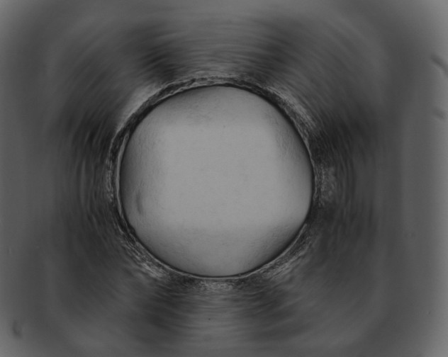 X0000092310878200710051236