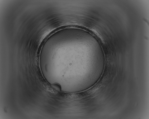 X0000092310879200710051236