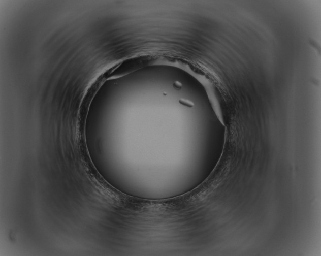 X0000092310880200710051236
